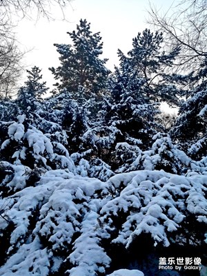 【這里是】+哈爾濱