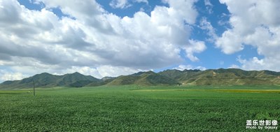 青甘大環(huán)線 在路上