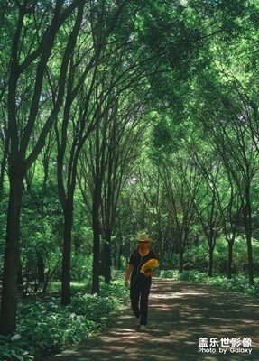 【這里是】郊野公園