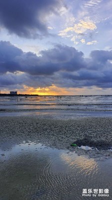 趕海