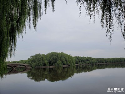 青年湖的水中島