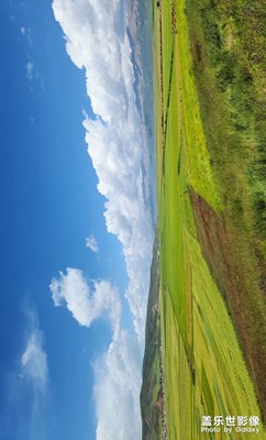 這里是＋青甘大環(huán)線 門源