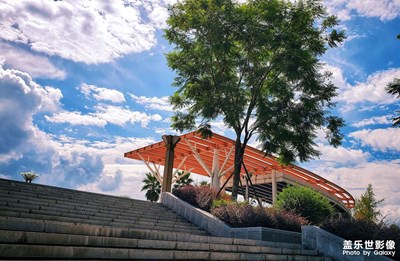 【初秋印象】+艷陽綠意襯藍(lán)天