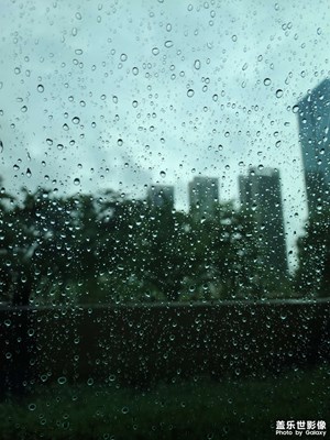 【初秋印象】+ 下了雨涼快了