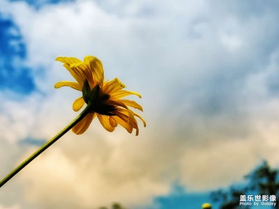 過氣旗艦S10的相機