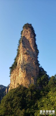 張家界國(guó)家森林公園