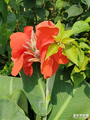 【身邊小景】＋苗圃隨拍