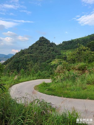 一山一水一草一木