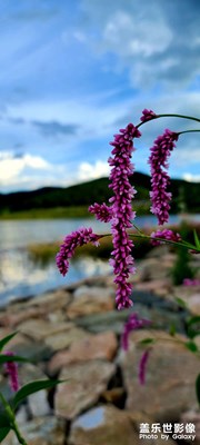 海城廂房水庫美景