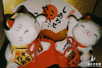 這相機也太好玩了吧