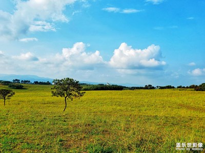 【我的腳步】+草原