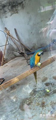 #休假旅行#美麗的青海野生動(dòng)物園