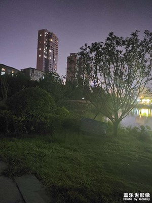 公園夜色