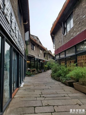 【我的腳步】又到公仔街