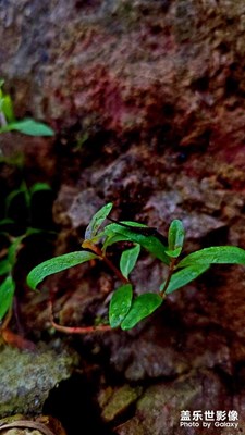 閑來(lái)無(wú)事隨拍