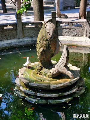 [我的腳步] 大興善寺