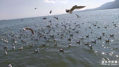 【我的腳步】+昆明民族村