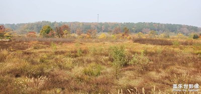 【我的腳步】+看到的風(fēng)景