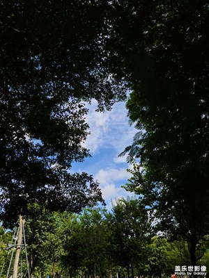 【美好速記】+ 酷暑已過(guò)，秋天正在來(lái)了