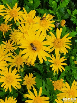 彩云之南之試拍……