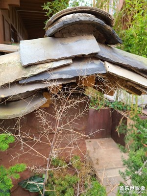 誰還沒有點(diǎn)愛好……