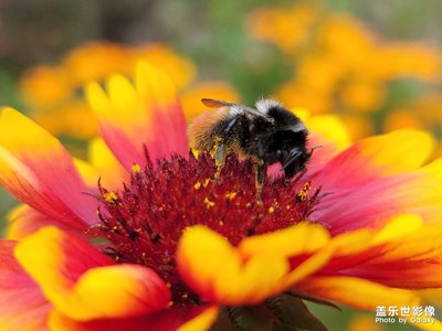 花的季節(jié)，讓我們一路賞花
