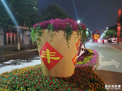 【天下秋】+秋日隨拍