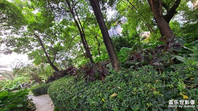 我拍照技術(shù)不好，隨手拍的，見笑。