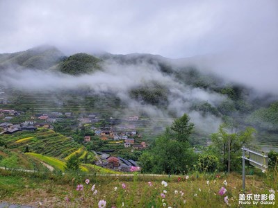 雨霧天看云和梯田