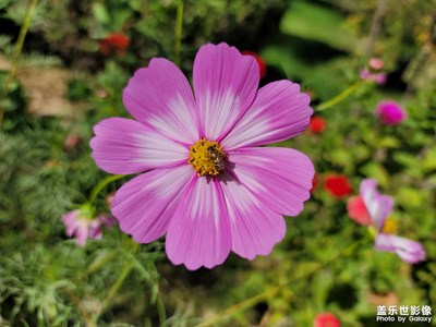 國慶中秋慶雙節(jié)