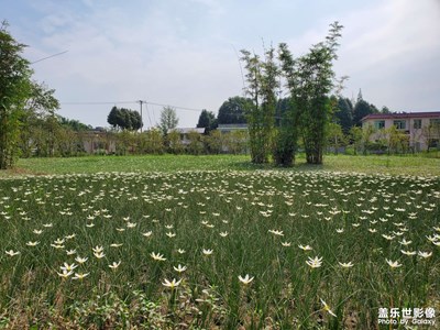 【假日麗影】+田園芬芳