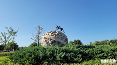 公園隨拍