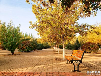 【假日麗影】+??葉落知秋??