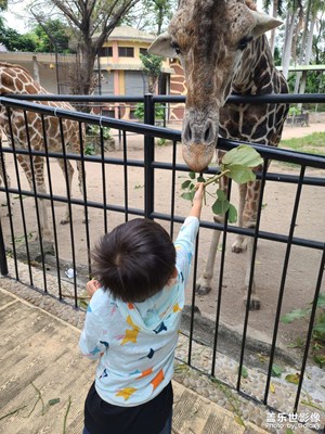 【假日麗影】+國慶（兒童）節(jié)動物園游記