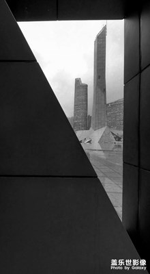 黑、白、灰的調(diào)調(diào)