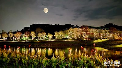 鄉(xiāng)村夜色