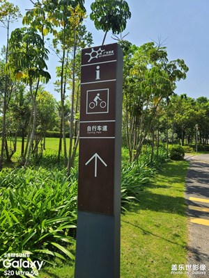 打卡深圳網(wǎng)紅公園