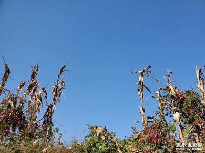 下村上山隨手拍