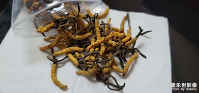 直出，拍家里的特產(chǎn)