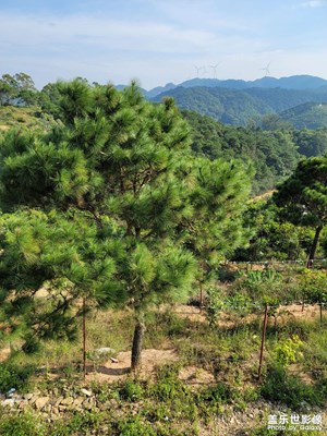 浦北三合鎮(zhèn)風(fēng)景如此漂亮