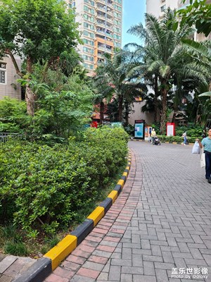 【我生活的地方】+家樓下