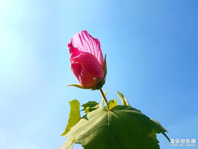 【我生活的地方】+開放式的公園