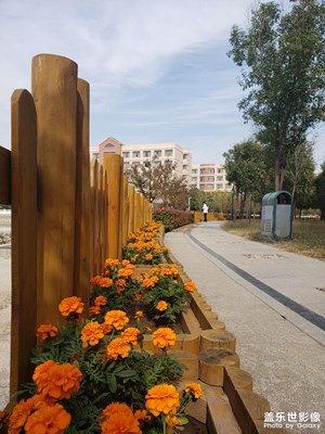 已經(jīng)秋天吧。