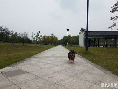 【我生活的地方】+秋日公園