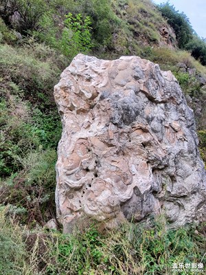 唐，李淳風(fēng)，袁天罡陵