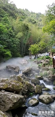 金山景美