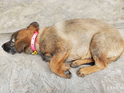 【多彩深秋】+記憶里的深秋