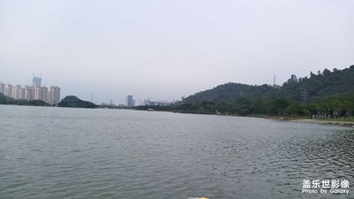 【多彩深秋】+無(wú)秋順德