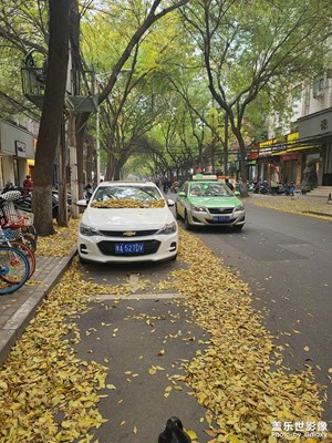 秋風(fēng)掃落葉，這天氣爽