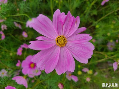 【多彩深秋】+多姿多彩